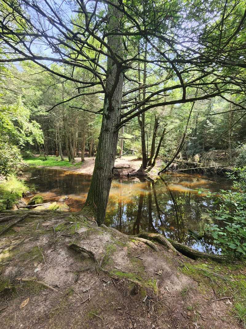 Bug Spray Is Your Best Friend Here