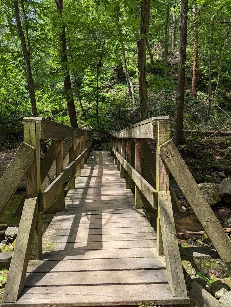 Trekking Poles That Transform Your Hiking Experience