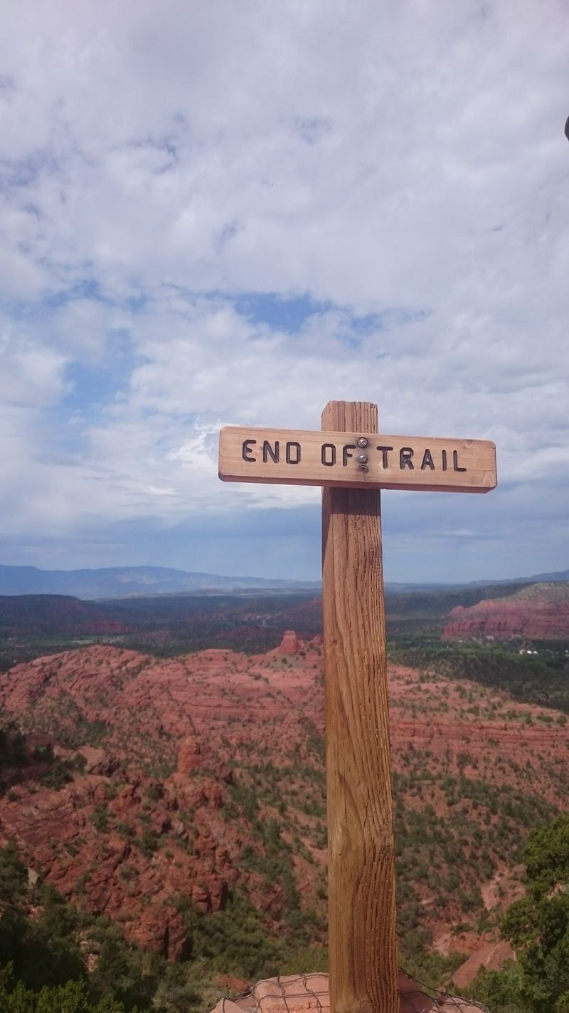 Wildlife Displacement and Behavioral Changes