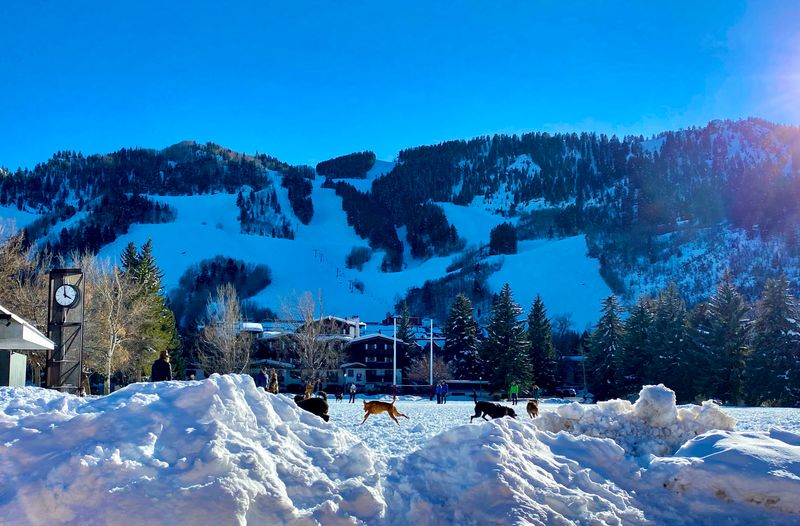 Public Spaces and Parks See Reduced Local Access During Tourist Season