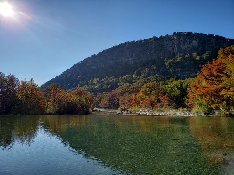 Wildlife Encounters Became Trash Panda Raids