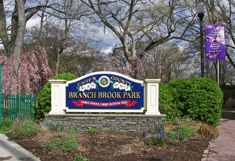 Litter and Disrespect Have Locals Seeing Red Among the Pink