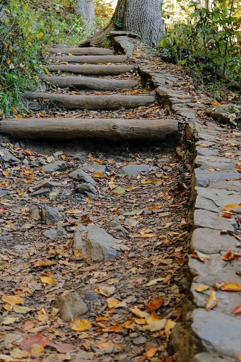 What to Bring for a Successful Hike