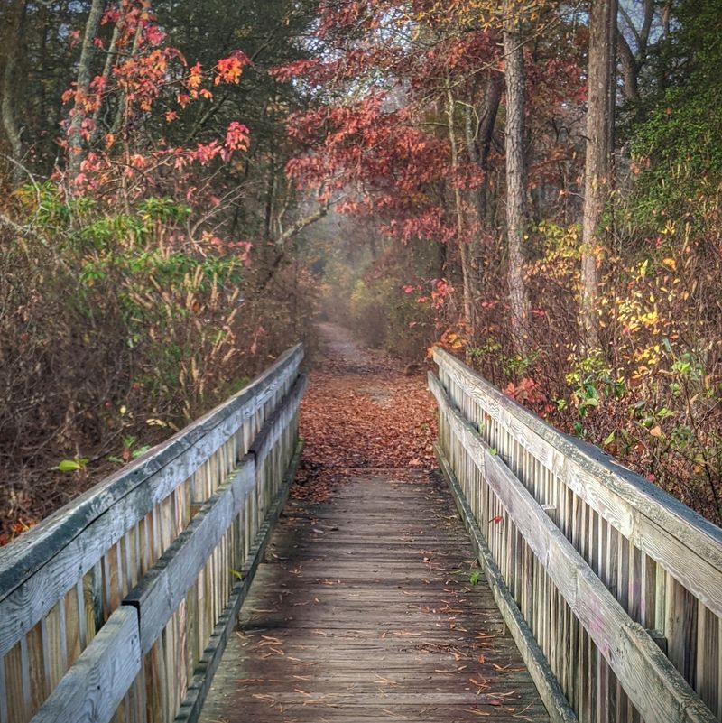 Hiking Trails Wind Through Untouched Wilderness