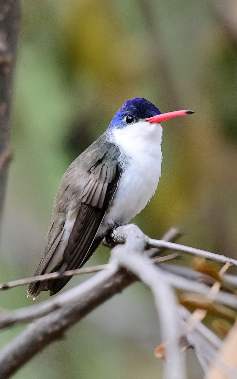 One Of The Best Birding Spots