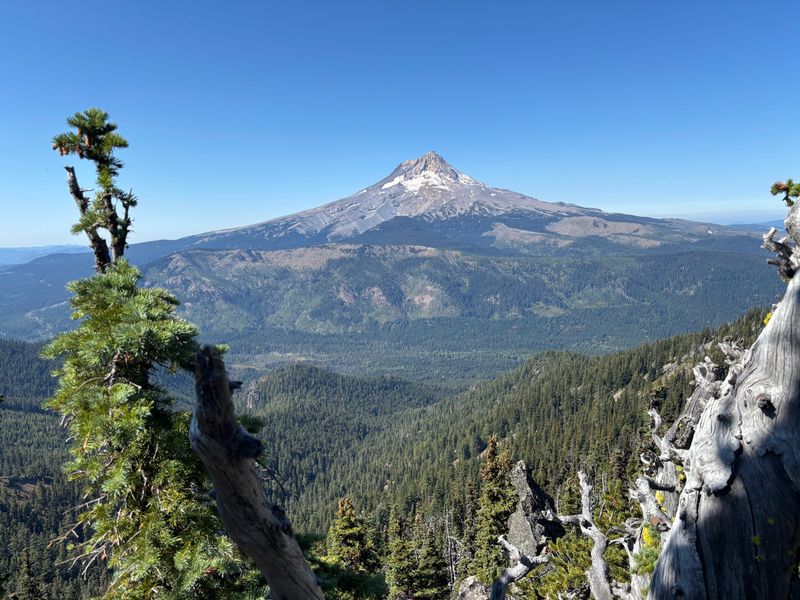 Lookout Mountain near Sisters