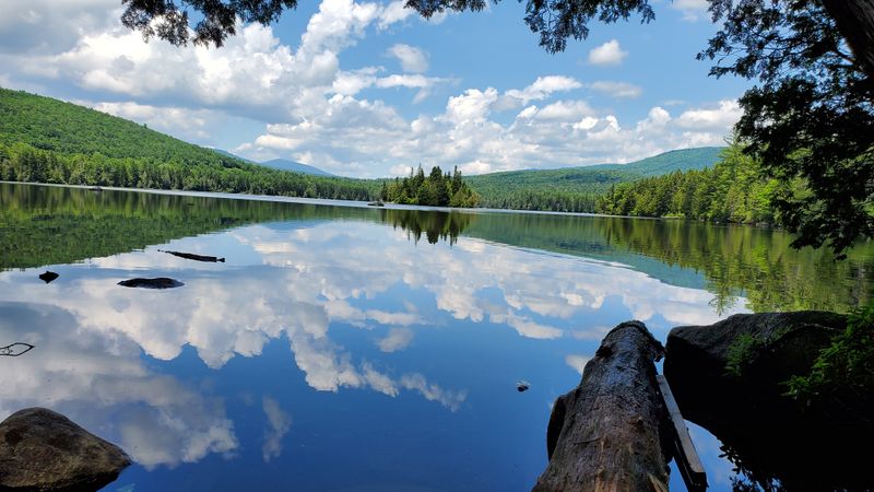 Blue Herons and Diverse Waterfowl Provide Year-Round Photography Subjects