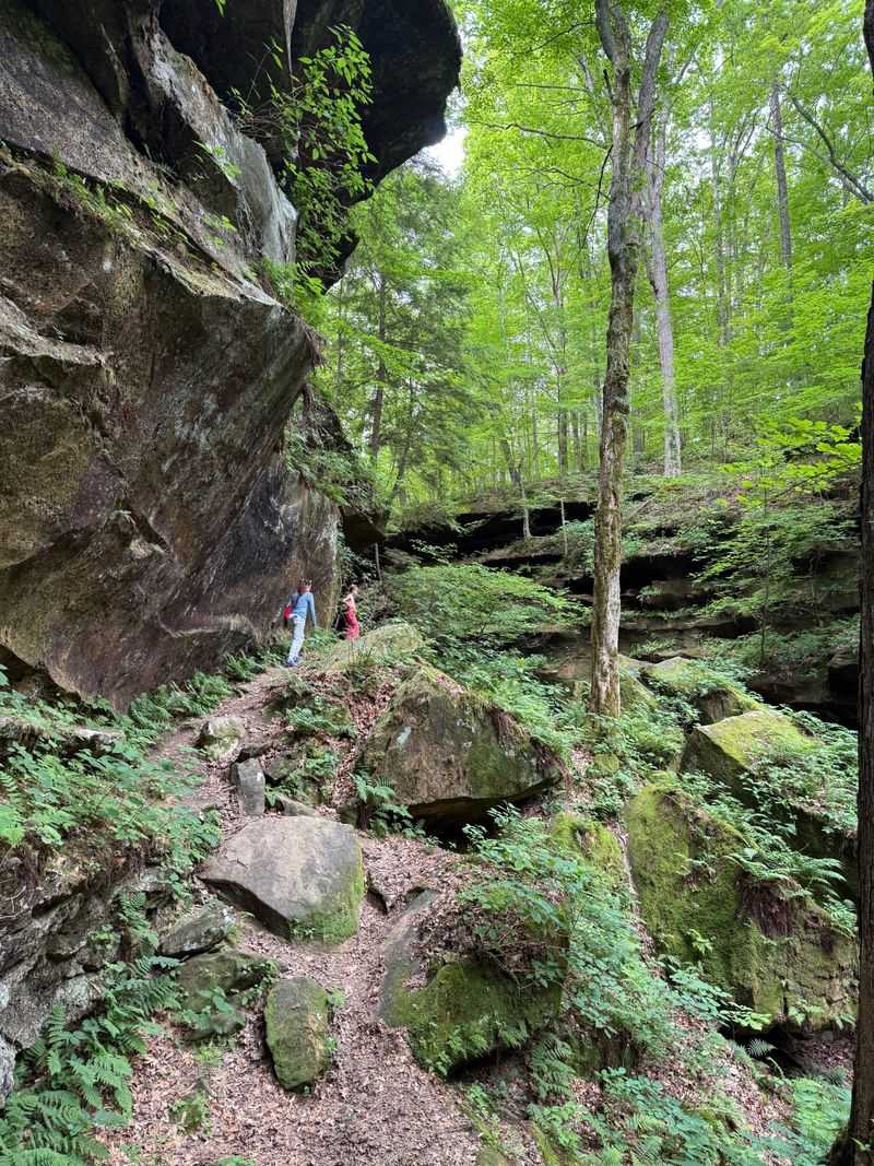 Proximity to French Lick and Other Attractions