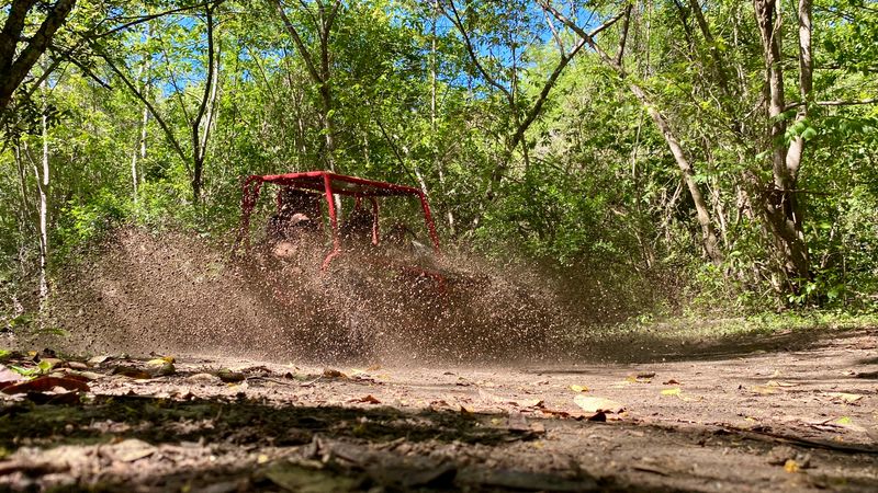 Countryside Buggy Rides