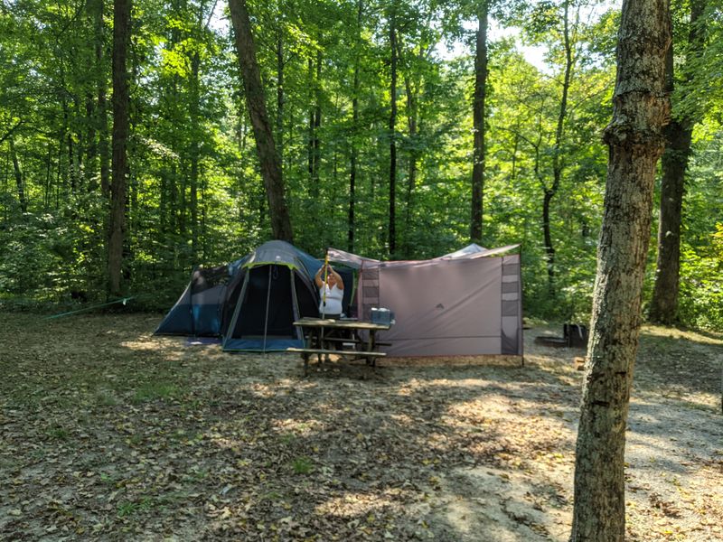 Excellent Camping Facilities in a Natural Setting