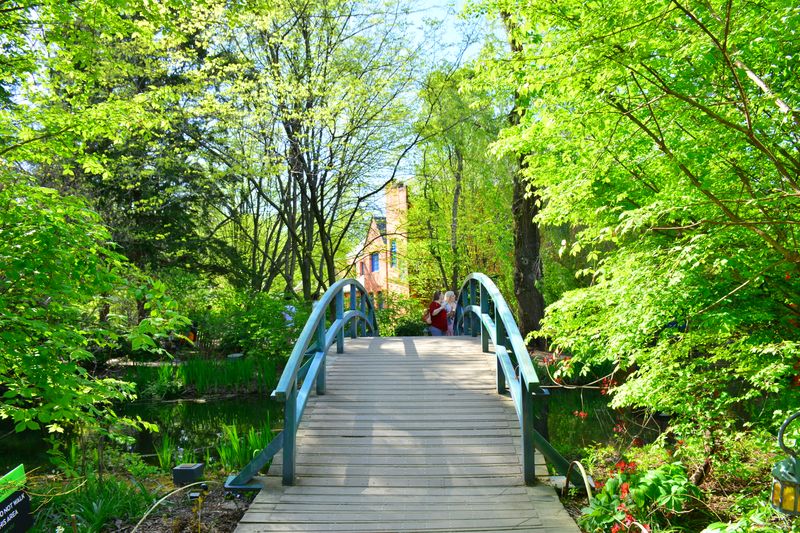 Monet's Blue Bridge Brings Impressionist Paintings to Three-Dimensional Life