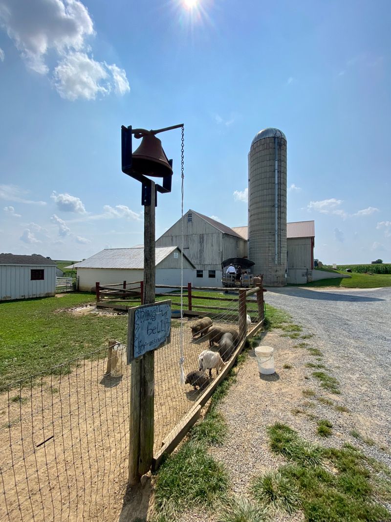 Scenic Farmlands Along Old Philadelphia Pike