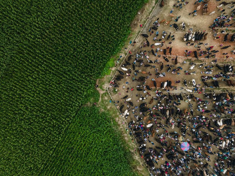 Mud Sales Feel Old-Timey, But They Run Like A Machine