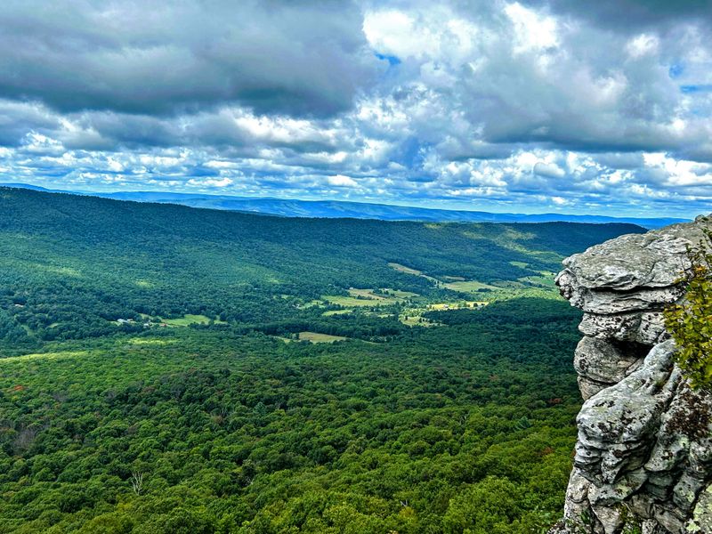 Wild Ginseng Hunting in Jefferson National Forest