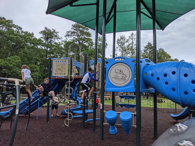 Family?Friendly Amenities Beyond The Animal Exhibits