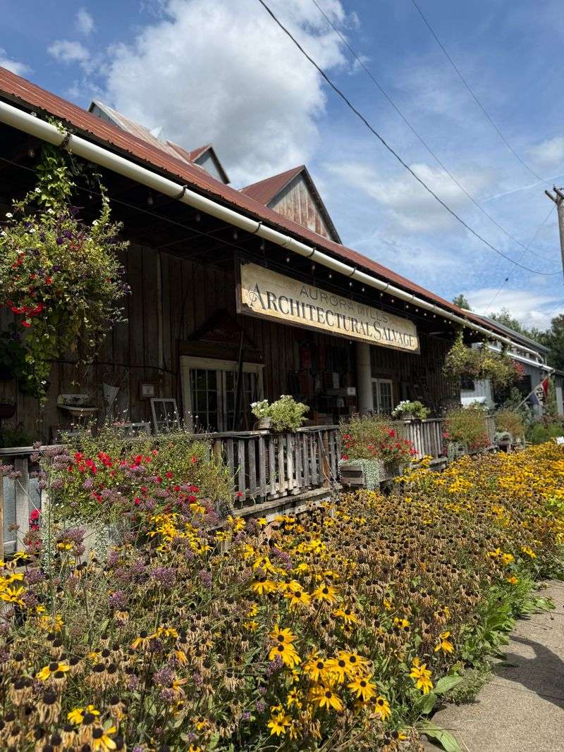 Award Winning Modern Annex Design Complementing Historic Character