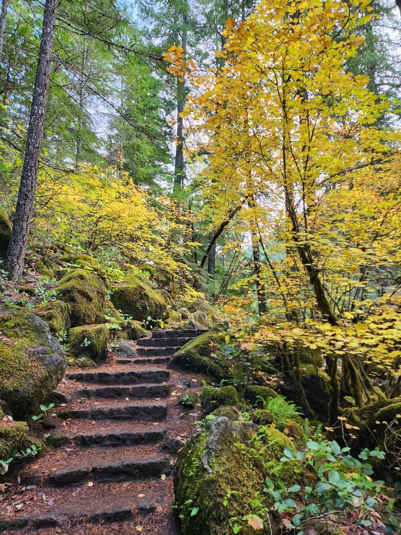 The Staircase Challenge