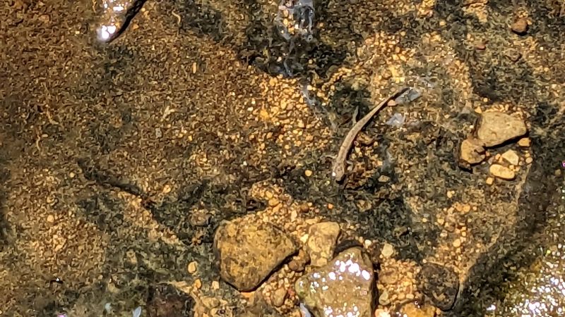 Peaceful Atmosphere and Uncrowded Trails