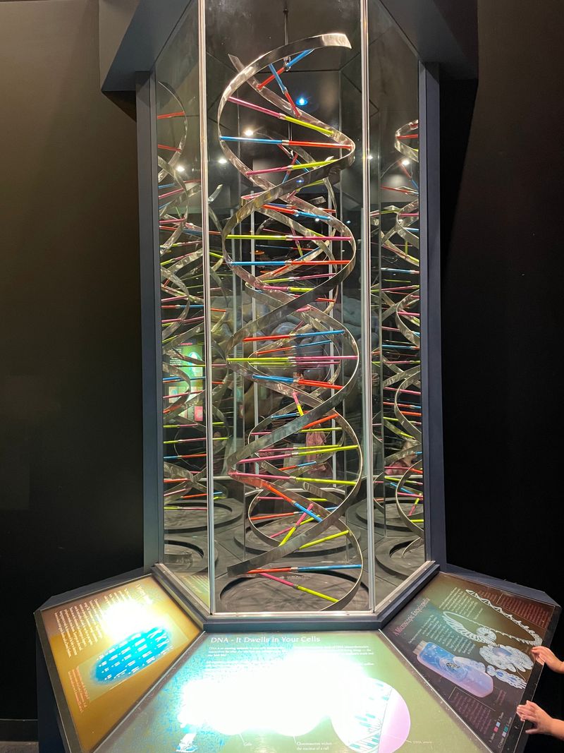 Gift Shop Full of Anatomical Treasures