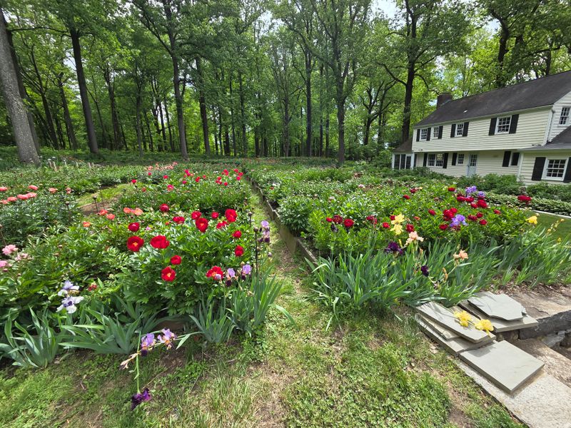 The Charming Little Shop Where You Can Take Home the Magic
