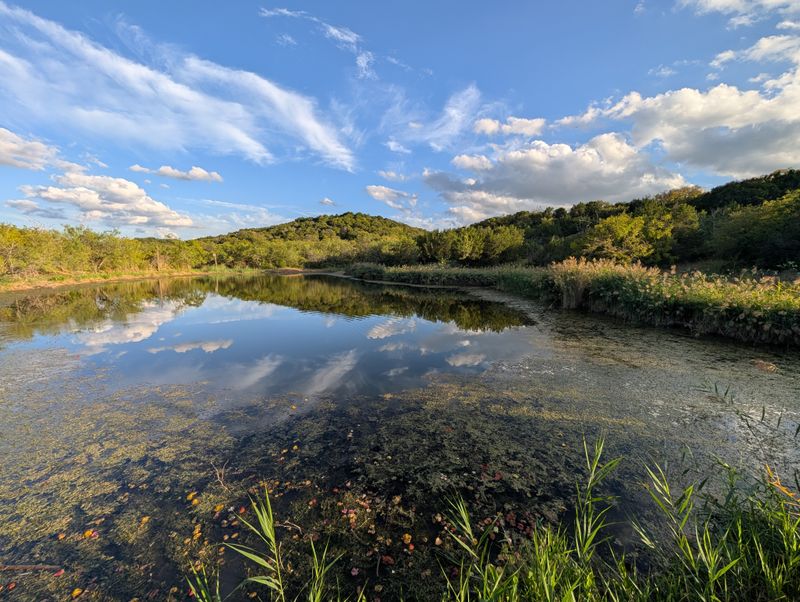 Seasonal Beauty Throughout The Year