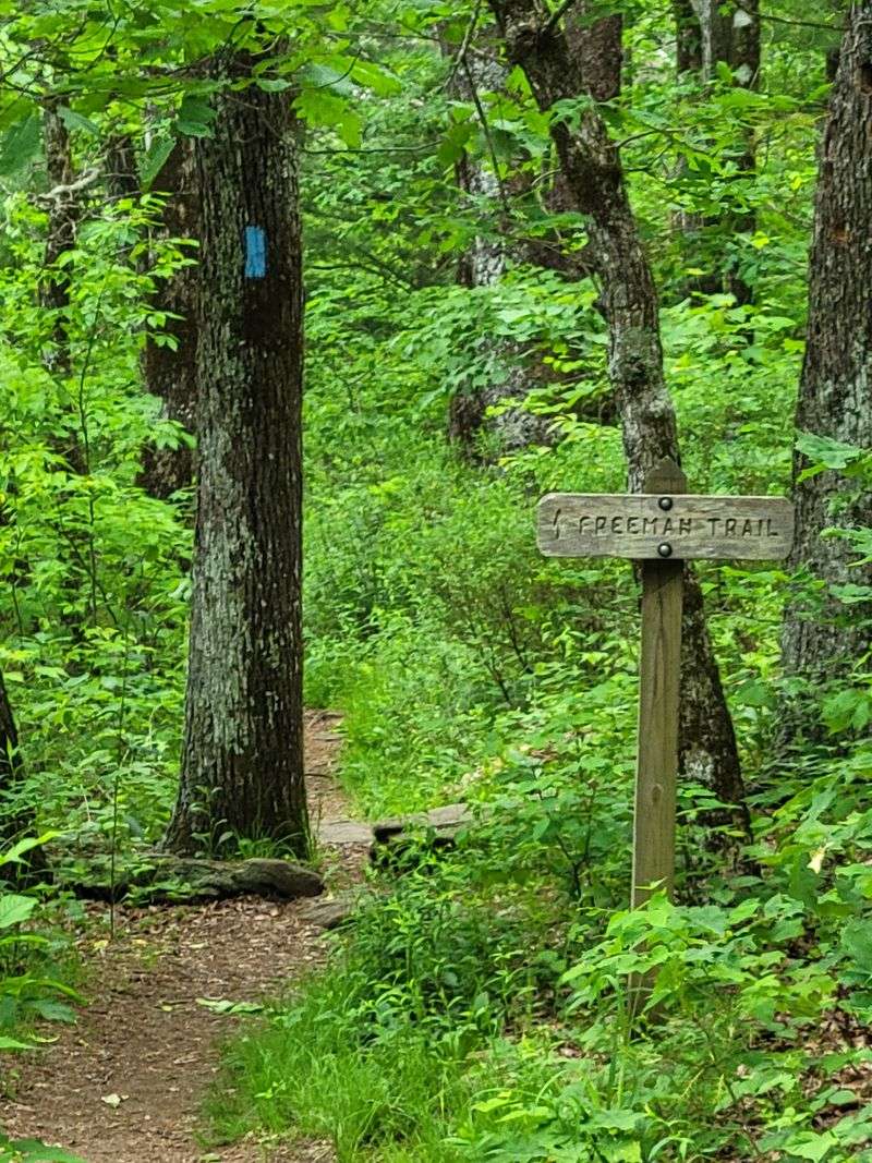 Seasonal Transformations That Keep You Coming Back