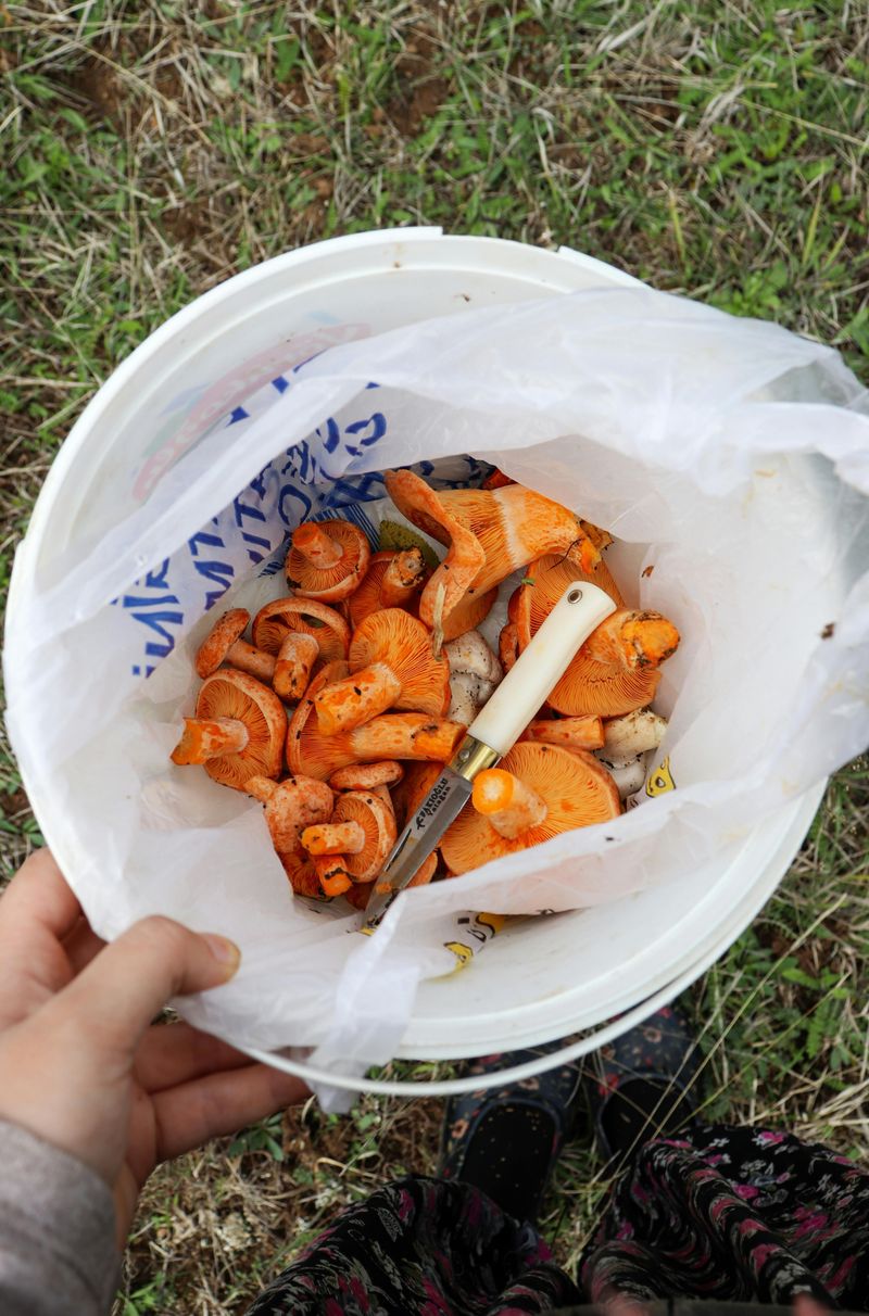 Why Enforcement Is Stricter Than People Expect