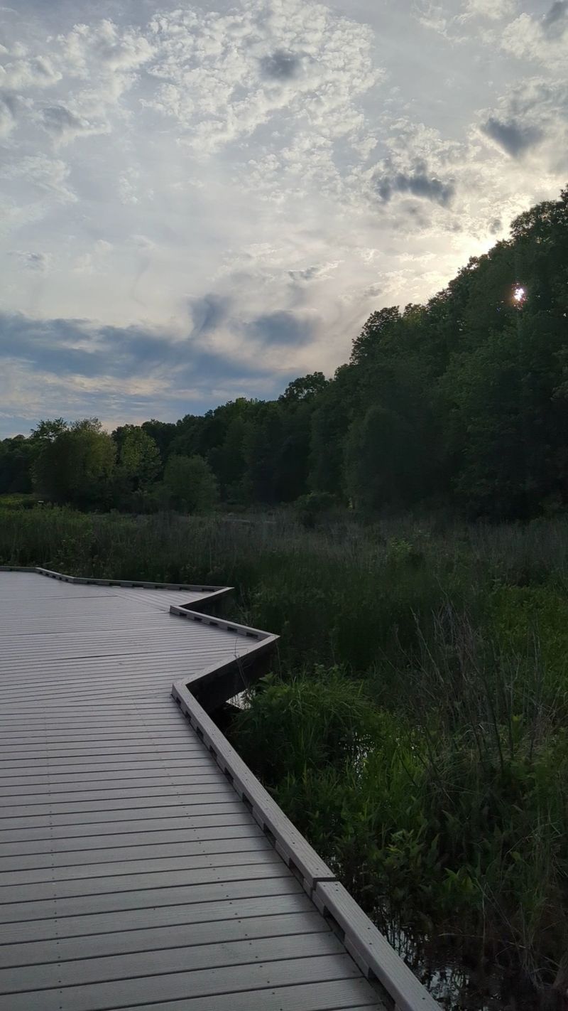 Family-Friendly Nature Education Experiences