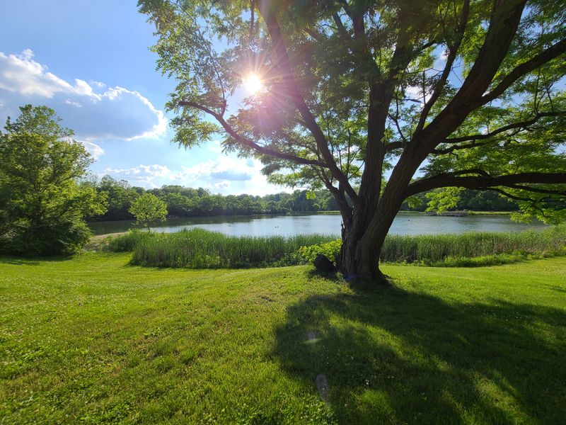 Family-Friendly Activities Among the Blooms