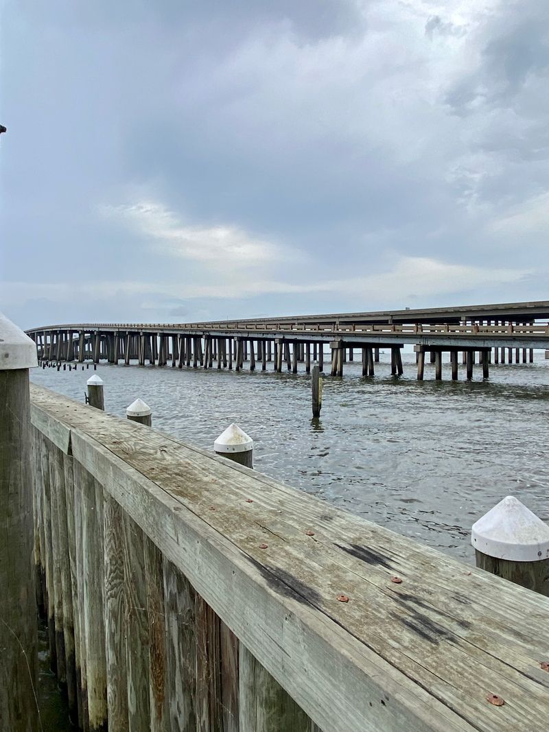 Daytime Calm Versus Nighttime Fear