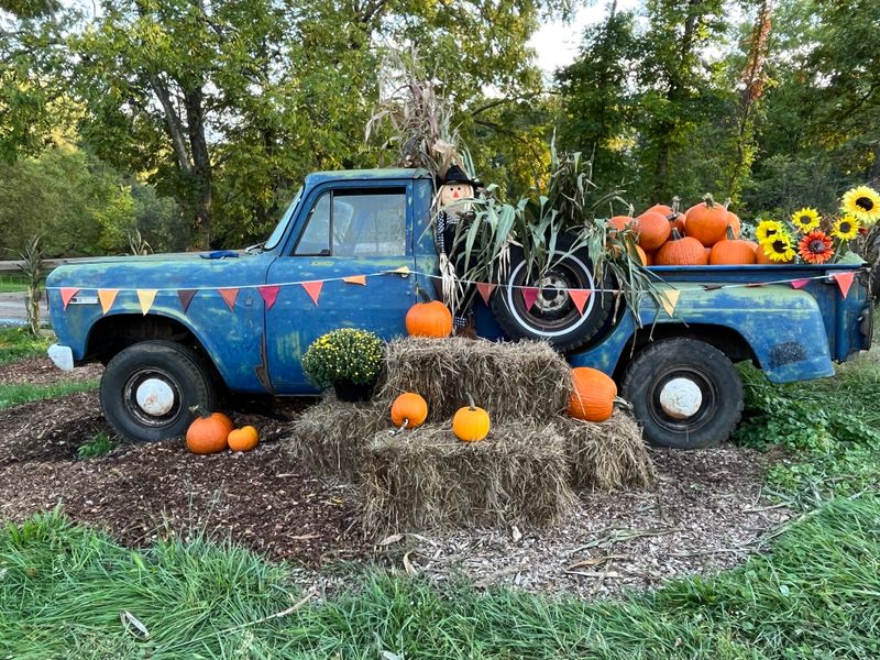 Seeds of Grace Acres