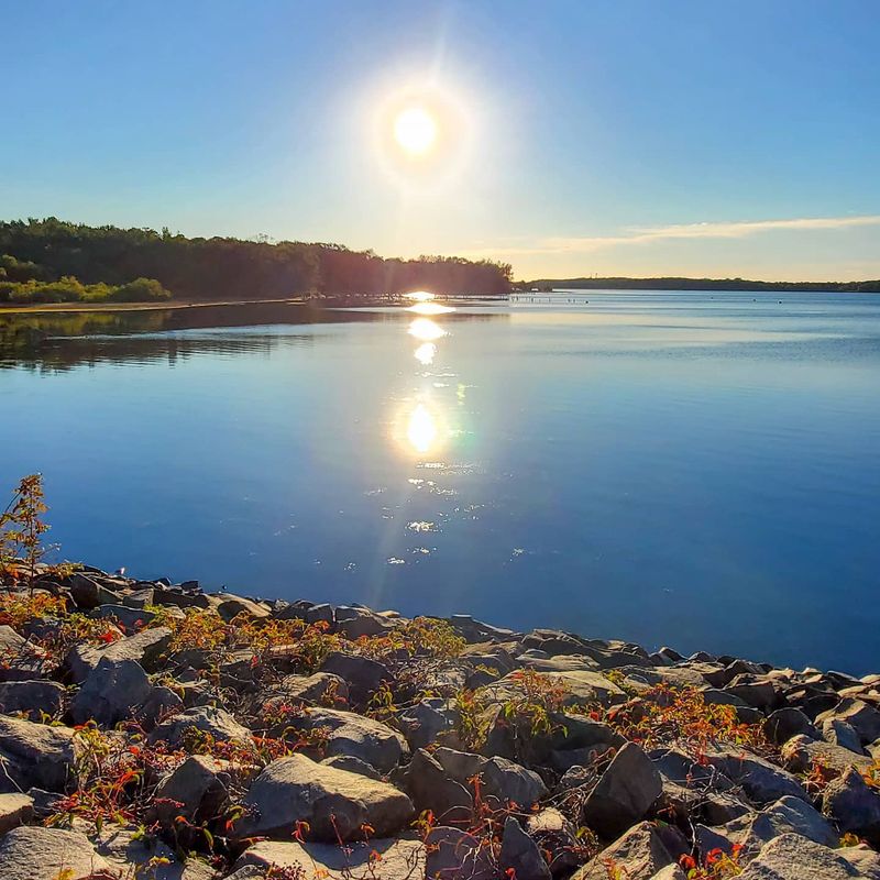 Wildlife Watching for Nature Nerds and Curious Kids
