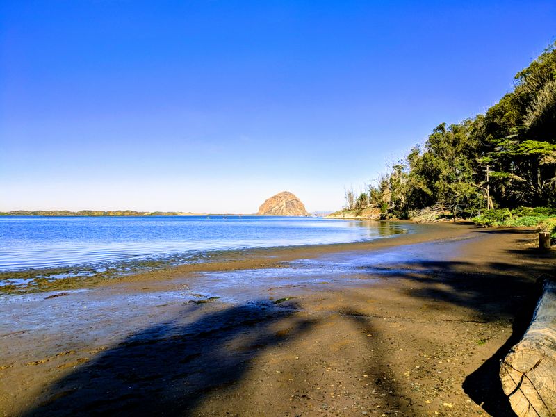 Morro Bay State Park, Morro Bay