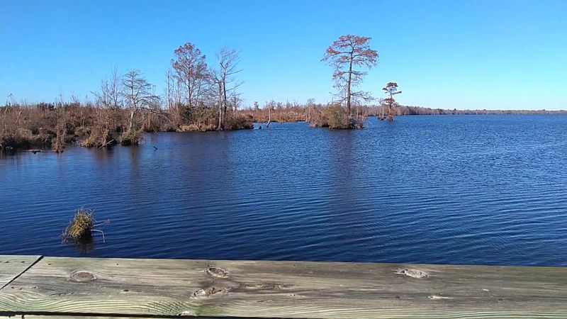 Great Dismal Swamp National Wildlife Refuge