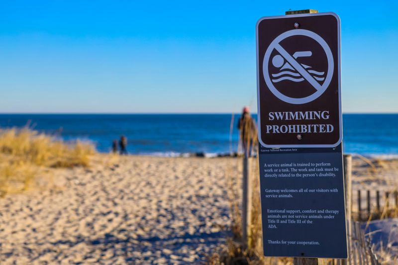 Most Beaches Ban More Than You Expect