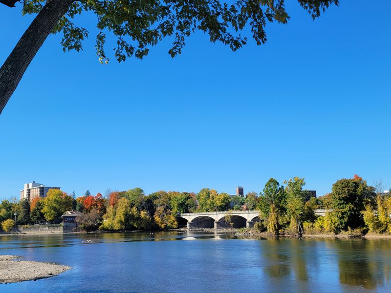 Binghamton