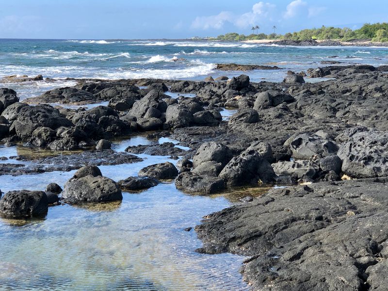 Kohanaiki Beach Park (Pinetree), Hawai'i Island