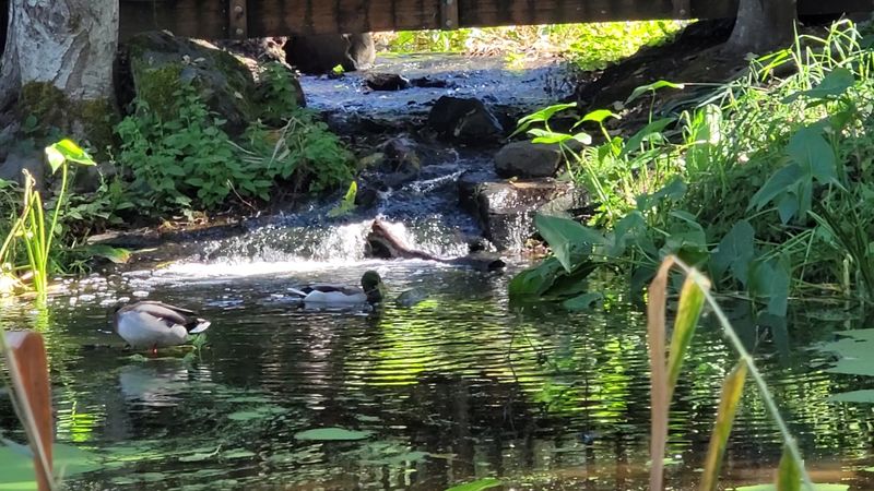 Nature Is Always Minutes Away