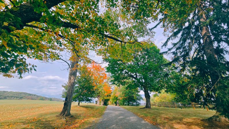 Peaceful Countryside Setting Away from Urban Sprawl