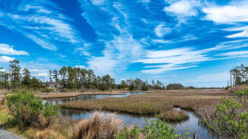 Wildlife Loop Provides Outstanding Birdwatching Opportunities Year Round