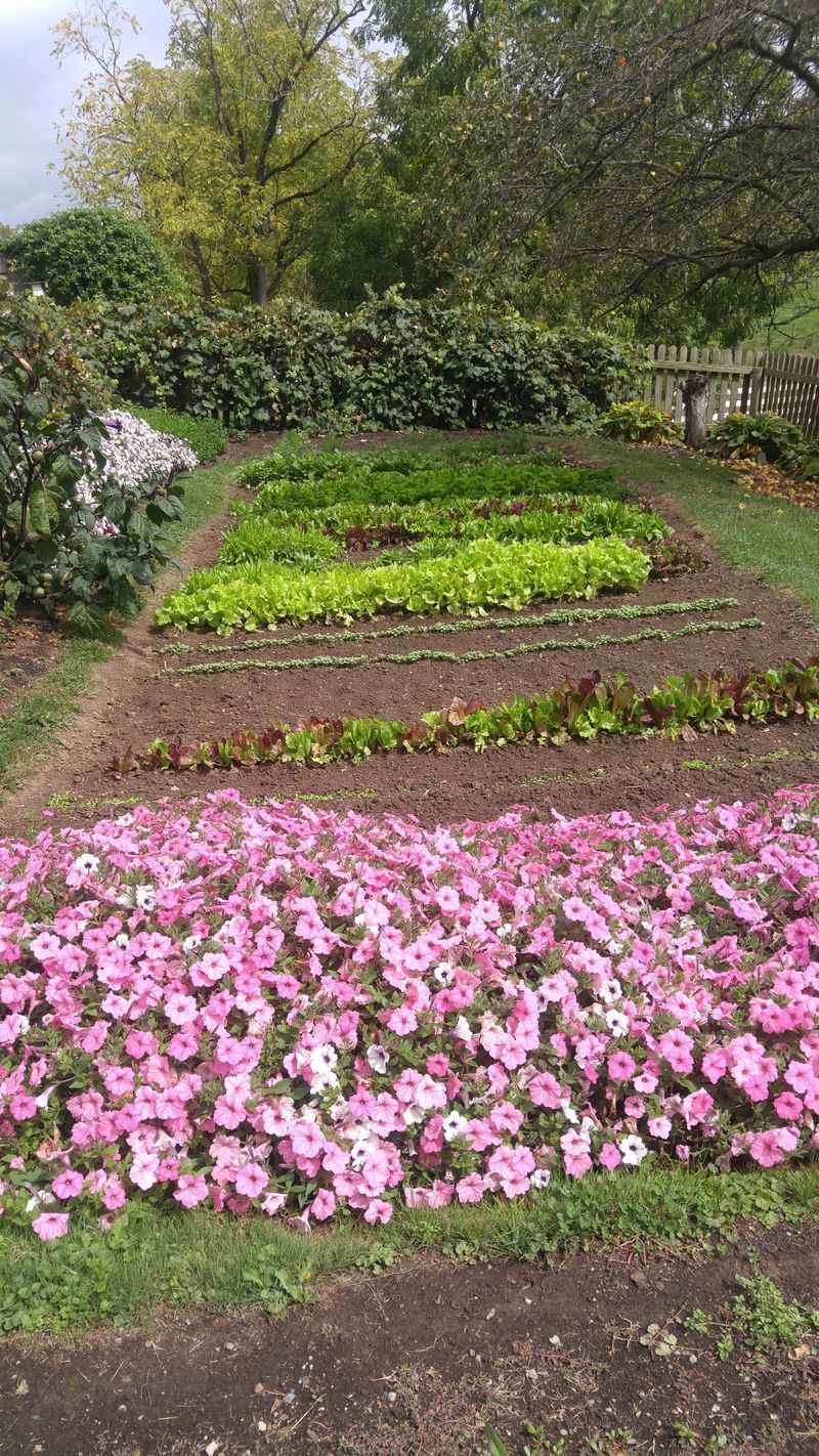 Work, Land, And Continuity