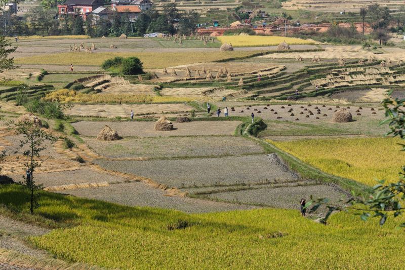Amish Businesses Are Working Places, Not Attractions
