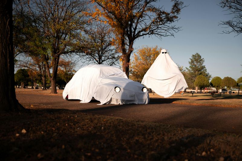 No Naked Movies at Drive-ins