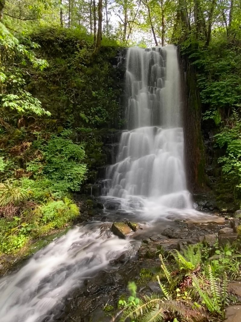 Angels Rest, Columbia River Gorge