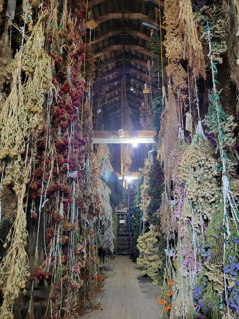 Howell’s Greenhouse And Pumpkin Patch, Cumming