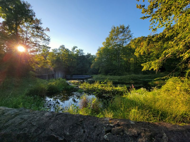 Peaceful Parks and Green Spaces