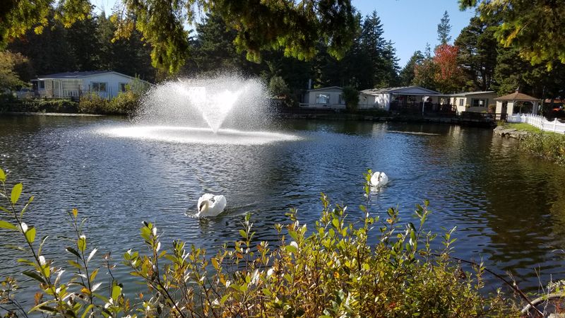 A Slower Pace That Actually Lets You Relax