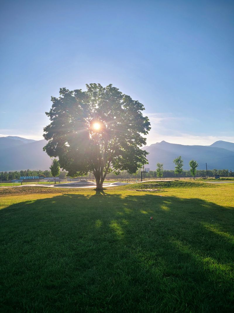 A Place That Encourages Stillness