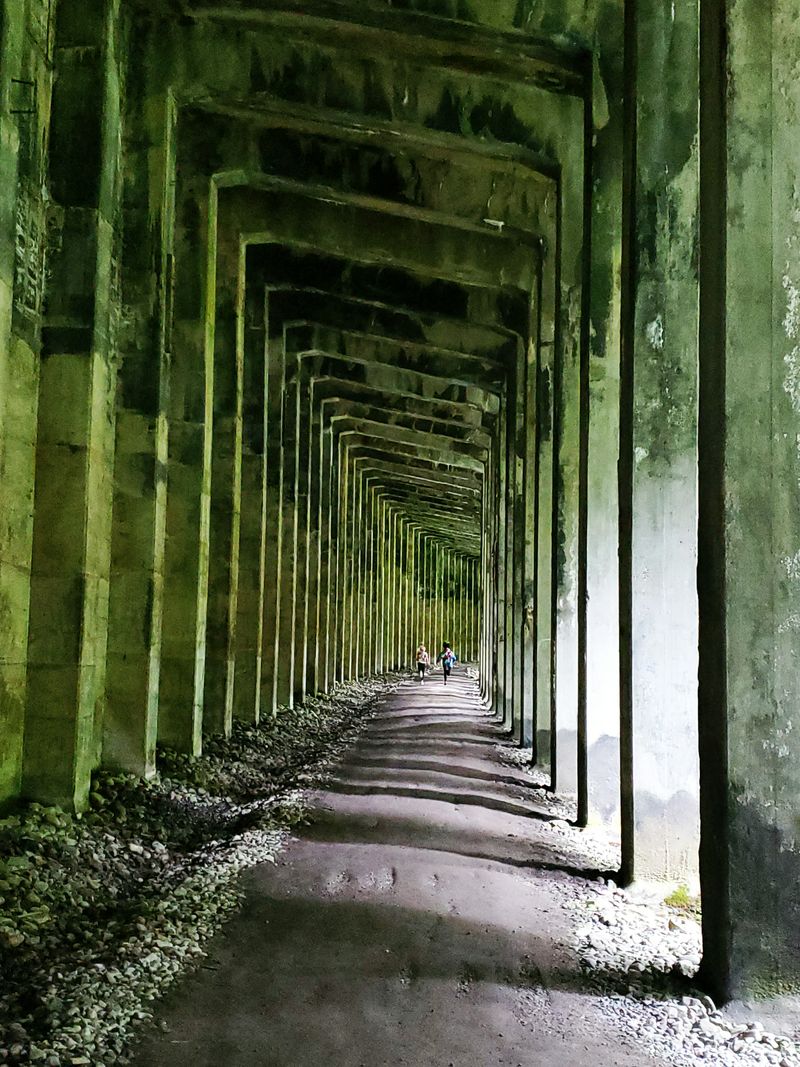 Iron Goat Trail, Skykomish Ranger District