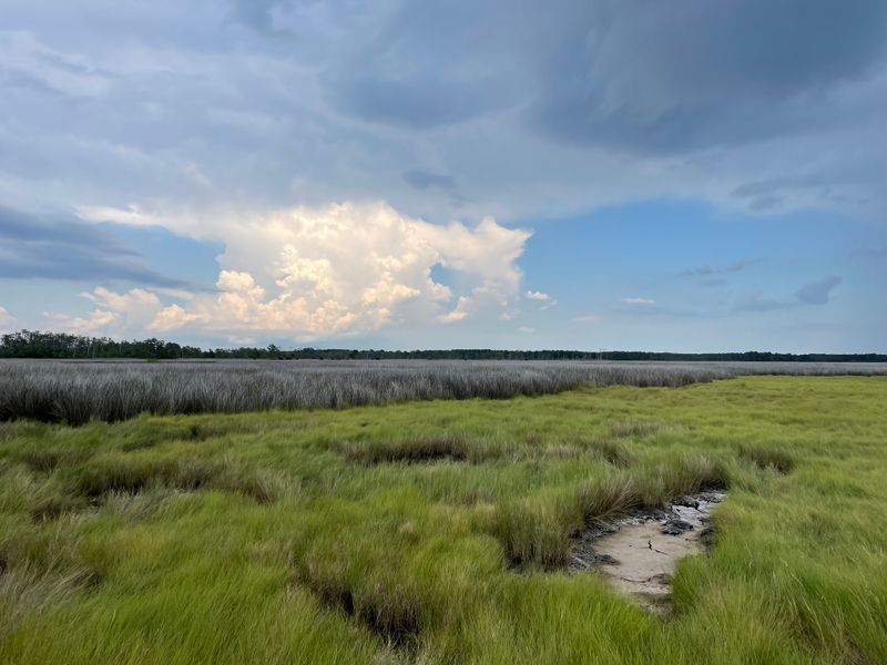 Saxis Wildlife Management Area